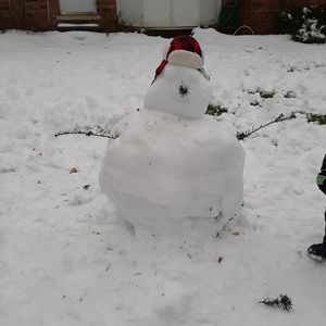 Meet your Posher, Dvir